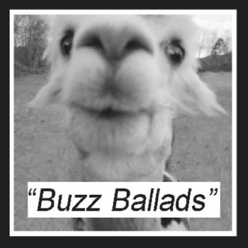 Buzz Ballads (Split with Dogbreth) cover art