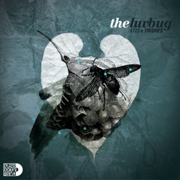 The Luv Bug cover art