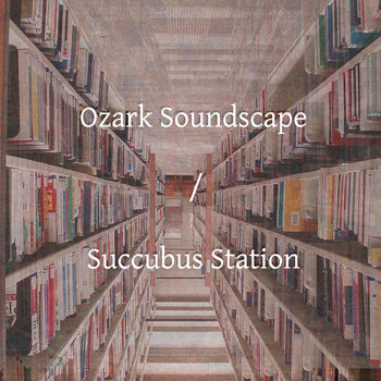 split with Succubus Station cover art