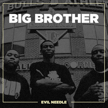 Big Brother ( 2008 ) cover art