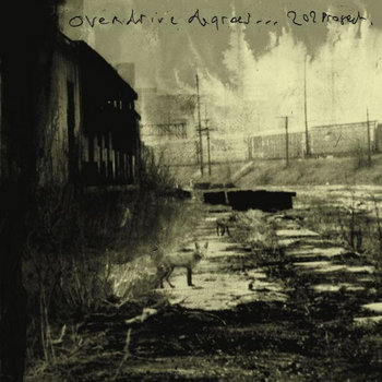 overdrive degrees cover art