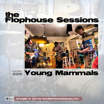 #228: Young Mammals cover art