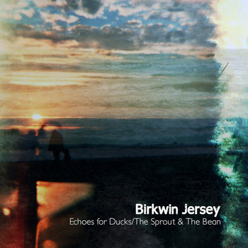 "Echoes for Ducks" b/w "The Sprout & The Bean (Joanna Newsom Cover)" cover art