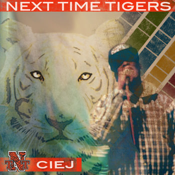 Next Time Tigers cover art