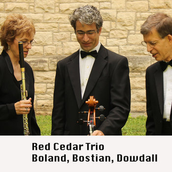 Sollberger's Spillville Trio cover art