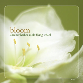 Bloom cover art