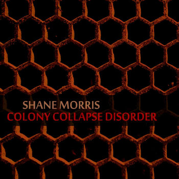 Colony Collapse Disorder cover art