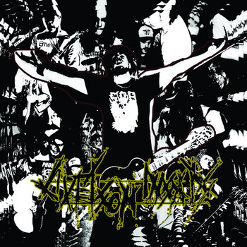 Livet Som Insats cover art
