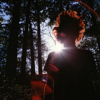 Verizon Shine cover art