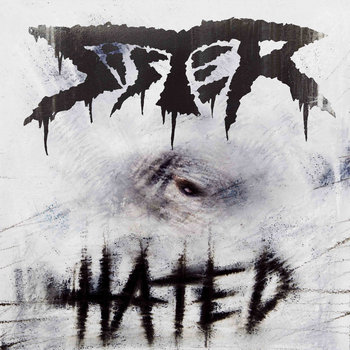 Hated - Limited Vinyl Edition cover art