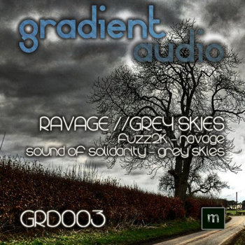 Ravage/Grey Skies cover art