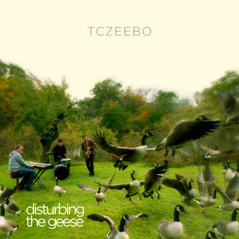 Disturbing The Geese cover art