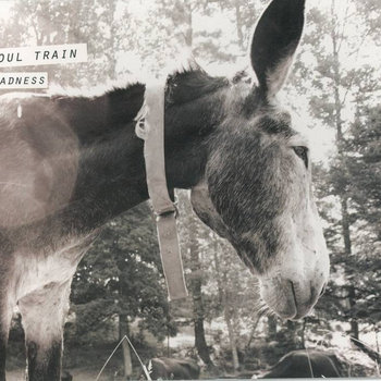 Donkey LP cover art
