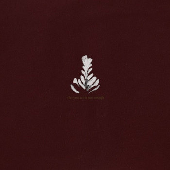Who You Are Is Not Enough cover art