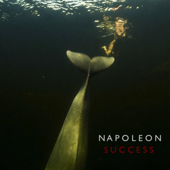 Success cover art