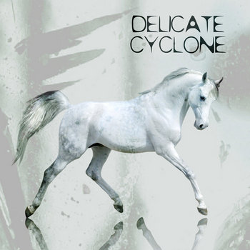 Delicate Cyclone cover art