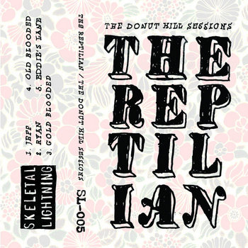 The Donut Hill Sessions cover art