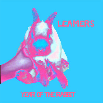 year of the rabbit cover art