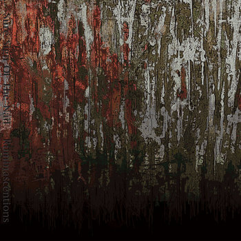 Sure Sign Of The Nail - Ruminascentions 2011 cover art