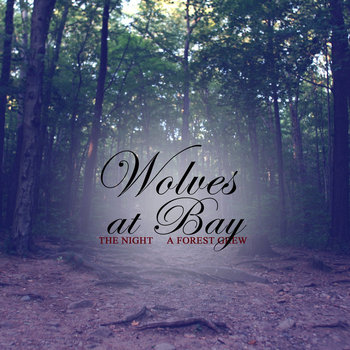 The Night A Forest Grew cover art