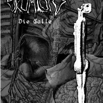 Die Galle cover art