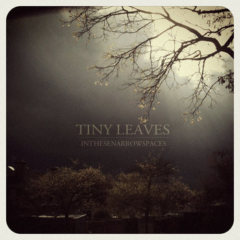 InTheseNarrowSpaces cover art
