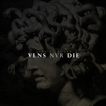 VLNS NVR DIE cover art
