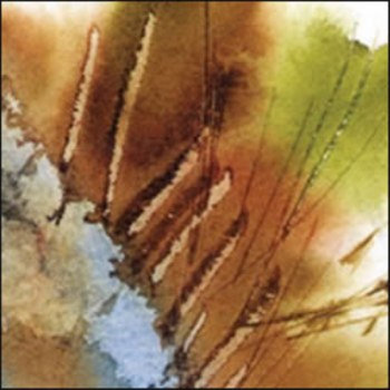 Ceremony. Vol. III cover art