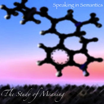 The Study Of Meaning cover art