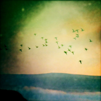 Afar, Farewell cover art