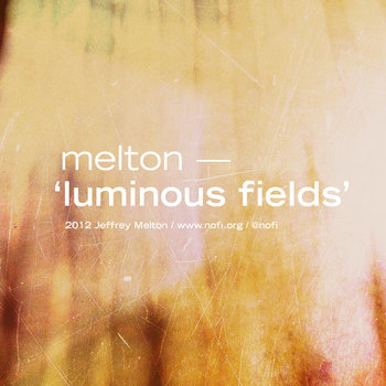 luminous fields cover art