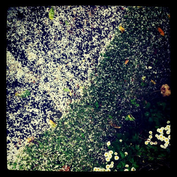 It's Lonely Around People, Too Remixes cover art