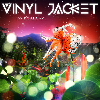 Koala cover art