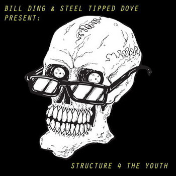 Bill Ding x Steel Tipped Dove - Structure for the Youth (album) cover art