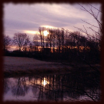 in the field, behind the trees cover art