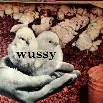 Wussy cover art