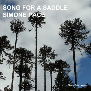 Song For A Saddle cover art