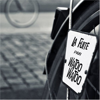 La fuite cover art