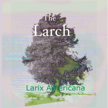 Larix EP cover art