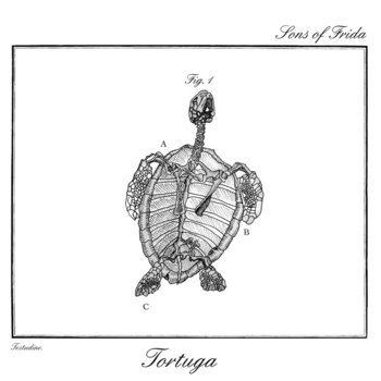 Tortuga cover art