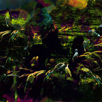 BURST VESSELS cover art