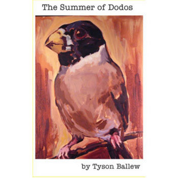 The Summer of Dodos cover art