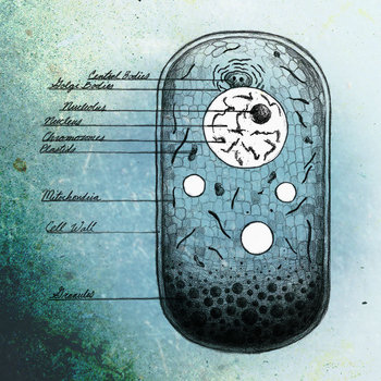 Biological Deadline cover art