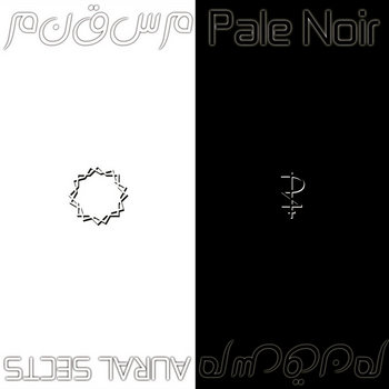 AURAL SECTS / Pale Noir cover art