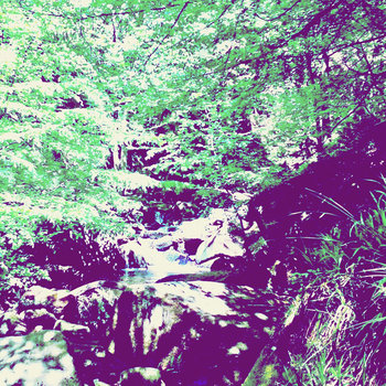 Follow cover art
