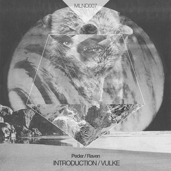 Introduction / Vulke EP cover art