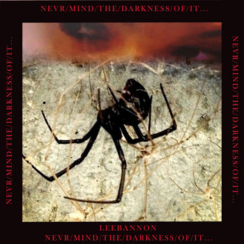 Never/mind/the/darkness/of/it... cover art