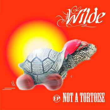 Not a Tortoise cover art
