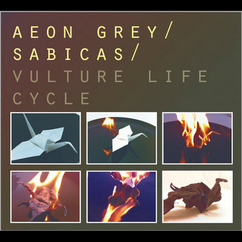 Vulture Life Cycle cover art
