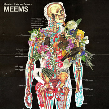 MEEMS cover art